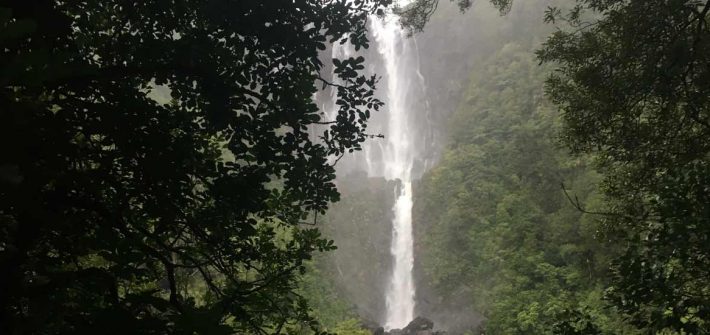 Waiwere Falls, Waikato, New Zealand