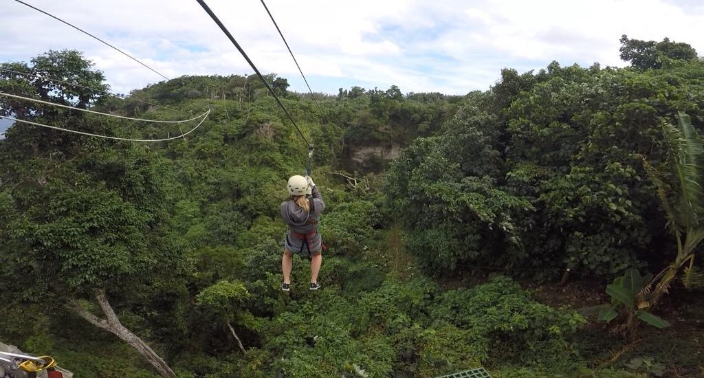 ziplining, outdoors, Vanuatu, Nature, Forest