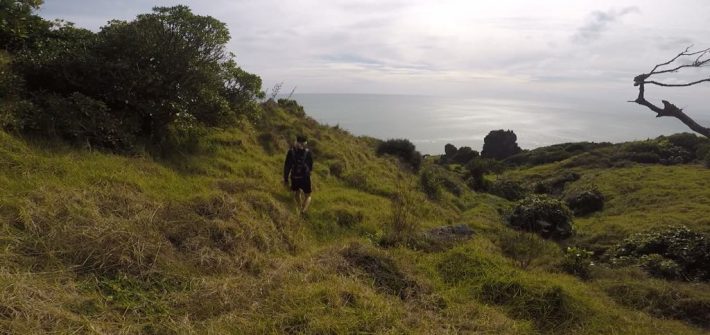 Nature, hiking, New zealand, Raglan, outdoors, cliffs, Te Toto Gorge, seaside