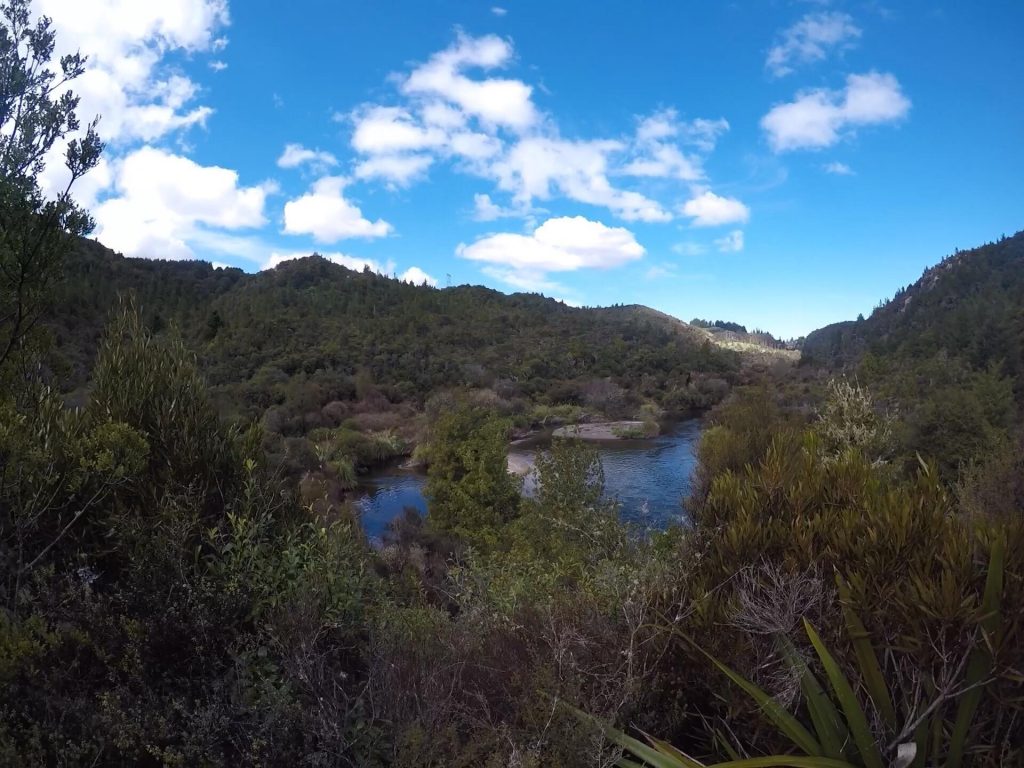 Hiking, Overnight hike, nature, fireplace, waihaha Hut Track, New Zealand, NorthiIsland, waihaha stream, outdoors, dog friendly, hiking huts