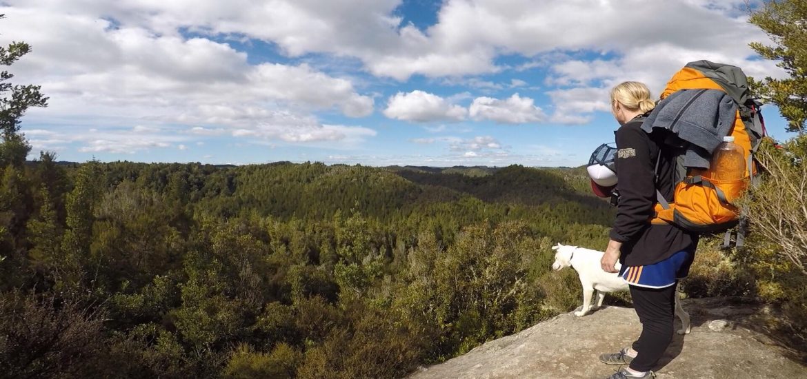 Hiking, Overnight hike, nature, fireplace, waihaha Hut Track, New Zealand, NorthiIsland, waihaha stream, outdoors, dog friendly, hiking huts