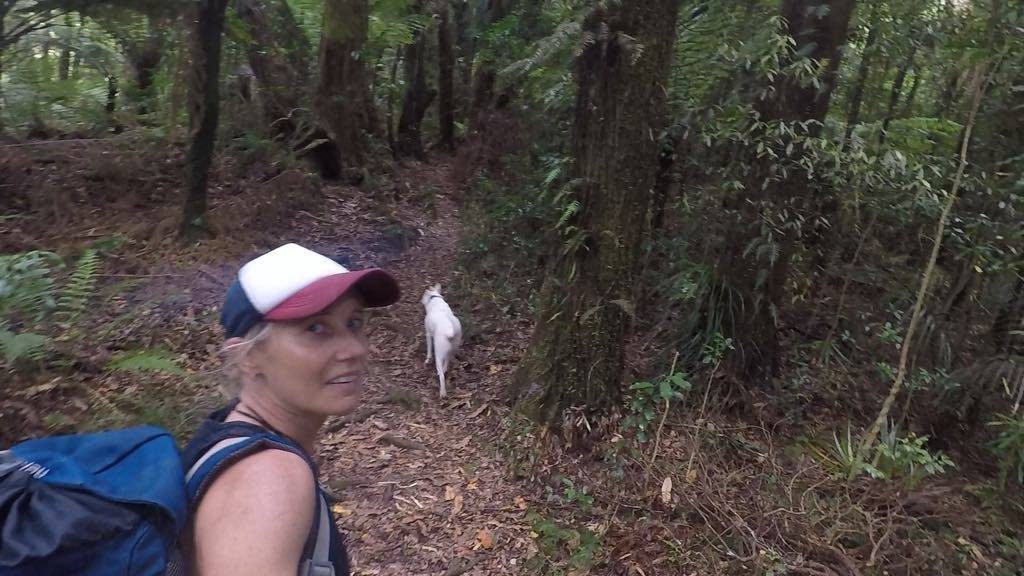 Ruapane, nature, outdoors, waikato, New Zealand, hikes,Pirongia, short hike, adventures, adventure seeker