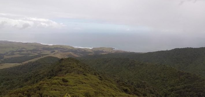 Mount Karioi, Raglan, New Zealand