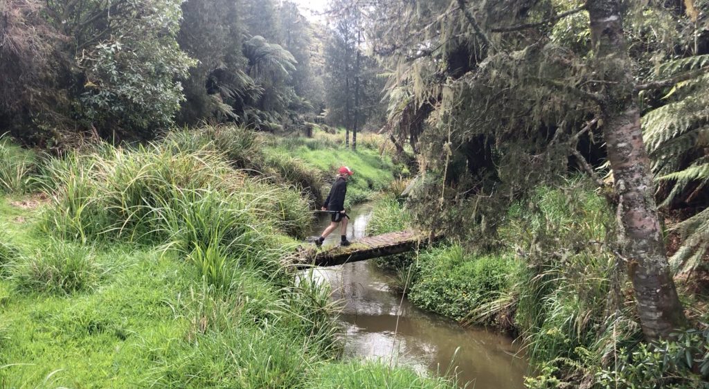 Nature, dundle hill hut, hiking, waikato, outdoors. overnight hike