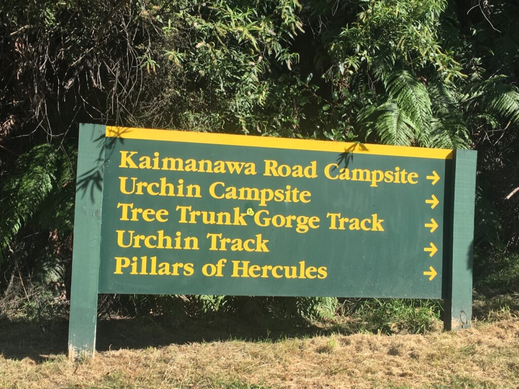 Urchin Track, Kaimanawa, hiking, day hike, mountain, views